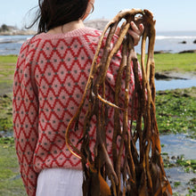 Cargar imagen en el visor de la galería, LIBRO MARINO DE JANDI GARDIAZABAL