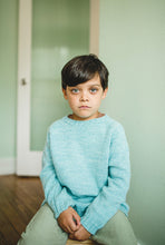 Cargar imagen en el visor de la galería, MINIPOM
