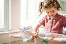 Cargar imagen en el visor de la galería, MINIPOM
